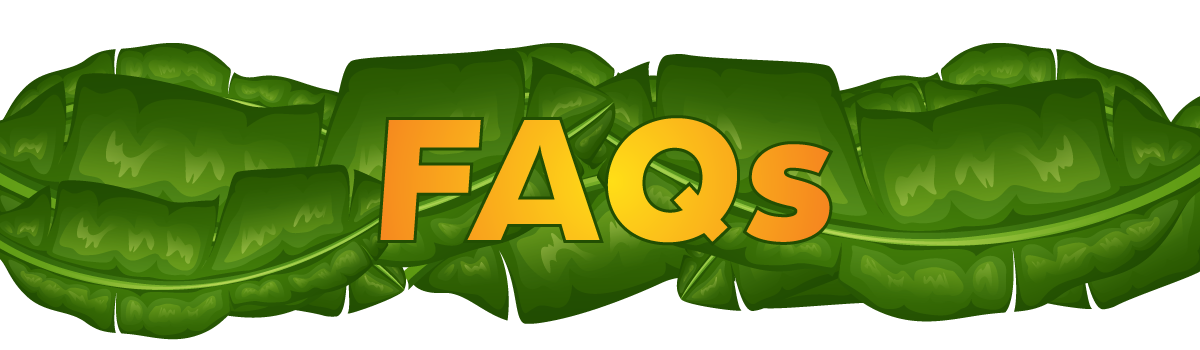 FAQs Palm Banner